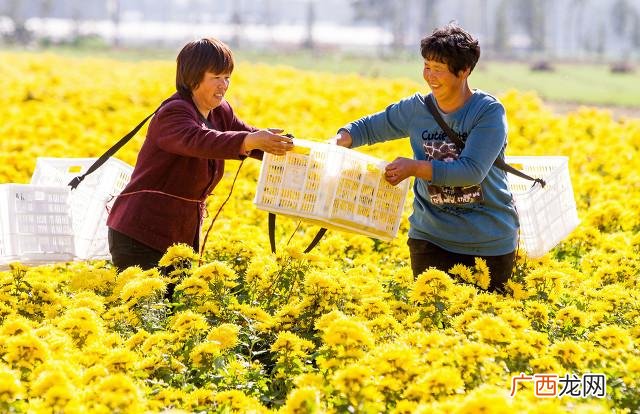 5万元在农村创业项目,5万以内创业项目