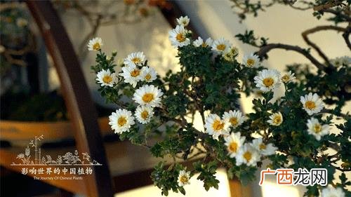 什么叫资源共享 合作共赢 关于合作共赢的文案