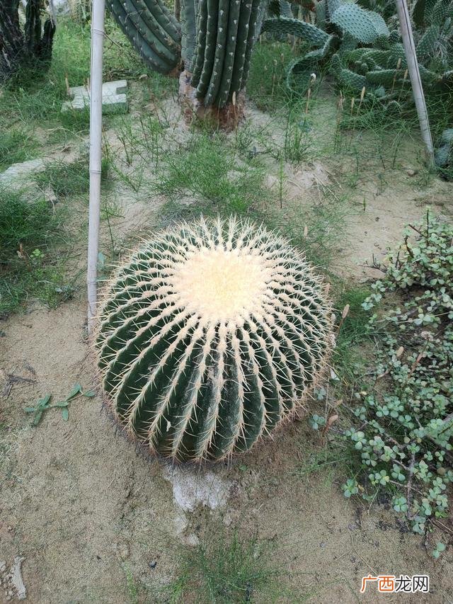 每天赚300路子,怎么一个小时赚300