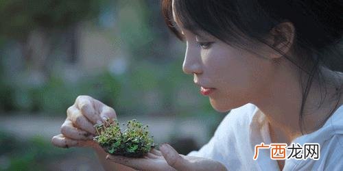 最简单的手工,怎么做简单又好看的手工