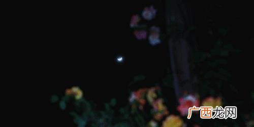 最简单的手工,怎么做简单又好看的手工