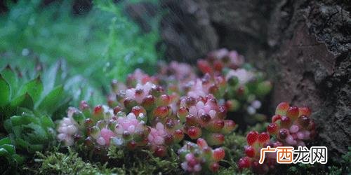 最简单的手工,怎么做简单又好看的手工