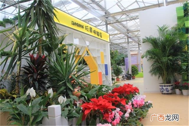 开儿童乐园的失败经历 小县城开儿童乐园