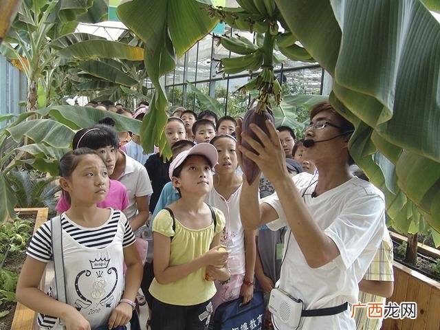 开儿童乐园的失败经历 小县城开儿童乐园