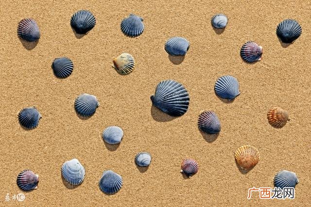 打印机什么设备 打印机创业设备