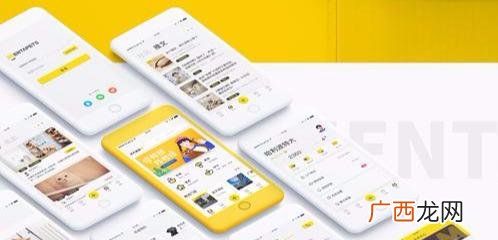 我的创业计划,云养猫创业计划