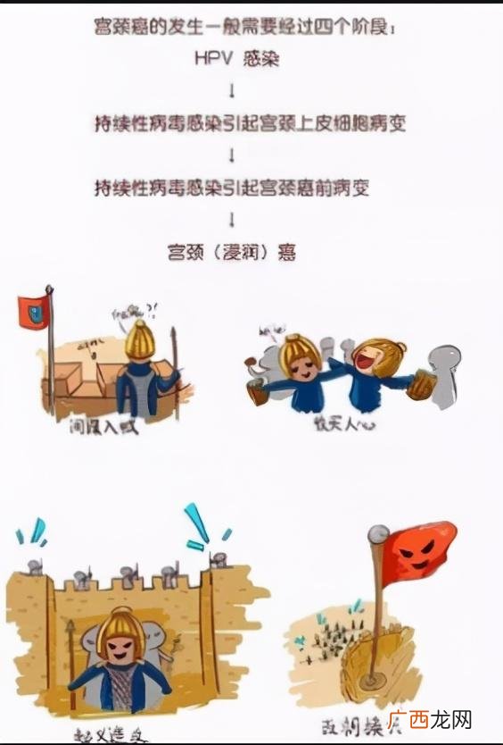 做宫颈筛查都做什么,宫颈筛查有哪些检查项目