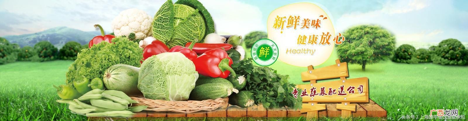 上海有机蔬菜配送网,南京有机蔬菜配送哪家好