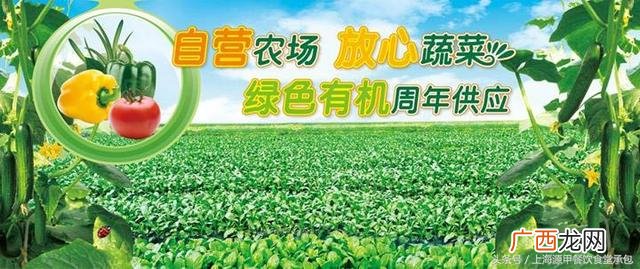 上海有机蔬菜配送网,南京有机蔬菜配送哪家好