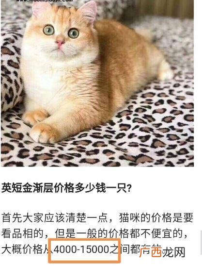 悬赏猫到账截图,悬赏猫app下载破解版