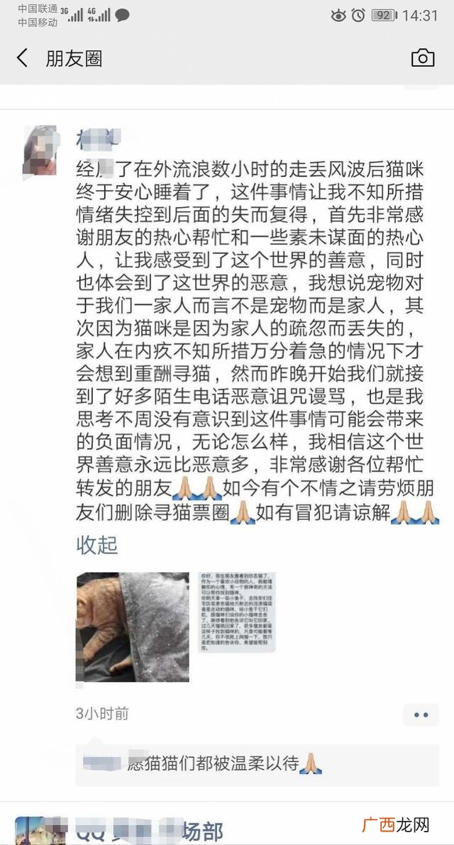 悬赏猫到账截图,悬赏猫app下载破解版
