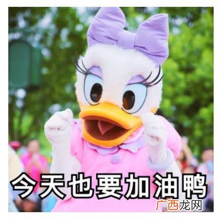 建设工程项目管理考试重点 建设工程项目管理考试