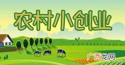 想买个小机器在家赚钱 创业家庭加工厂小机器