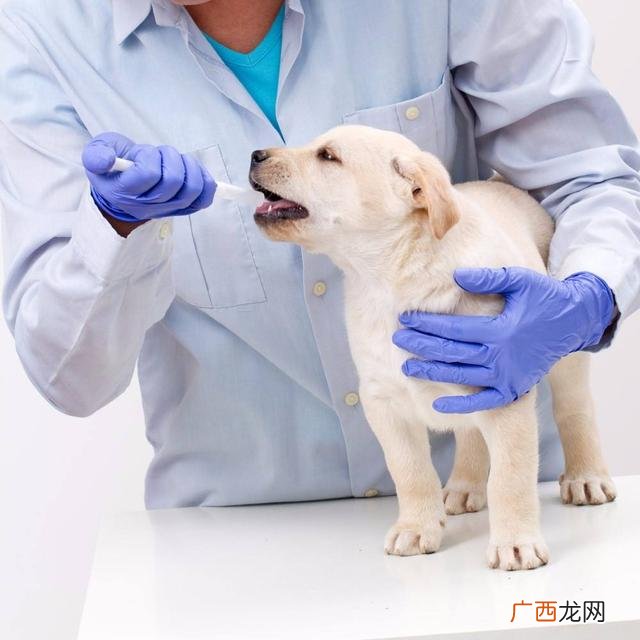 干什么工作不累还挣钱 女人干啥工作最挣钱