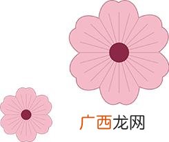 大学生创业面临的挑战 网络创业机会有哪些
