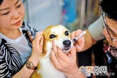 最有发展潜力的行业 未来20年有发展前景的行业