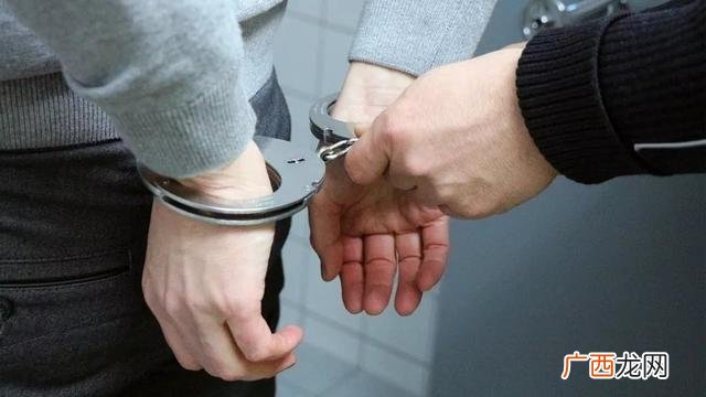 梅根坎卡 梅根法案内容