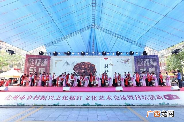 未来橘红发展前景,化橘红创业风险分析
