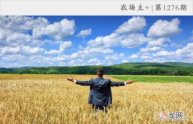 创业是不会成功的,草根创业难在哪里