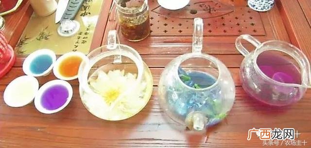 创业是不会成功的,草根创业难在哪里