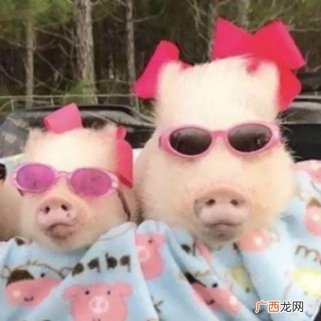 十个问题鉴定直男癌 直男癌的专业测试