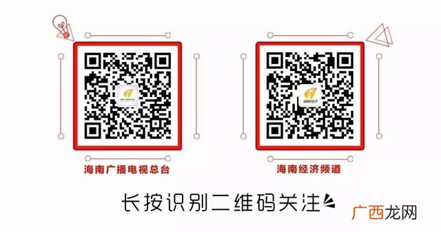 海口人才落户政策暂停,海口创业优惠政策