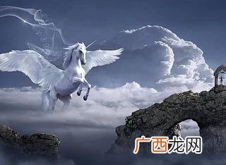 同时两个行业创业,两个女生创业