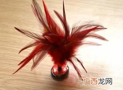 小学生体育趣味游戏活动方案,趣味体育活动方案