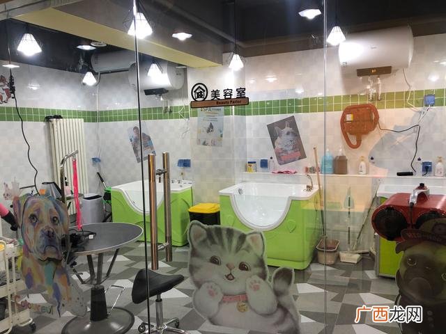 关于宠物店的创业策划书 宠物行业创业项目计划书