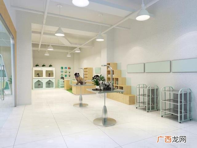 关于宠物店的创业策划书 宠物行业创业项目计划书