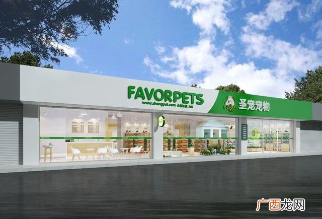 关于宠物店的创业策划书 宠物行业创业项目计划书