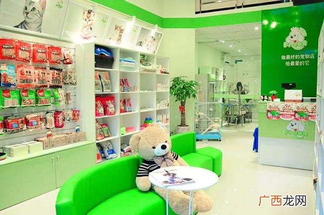 关于宠物店的创业策划书 宠物行业创业项目计划书