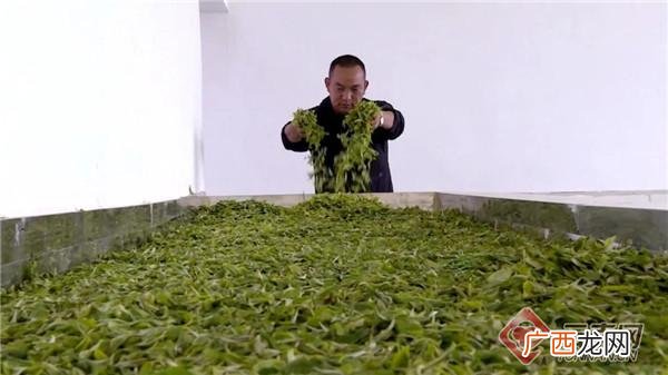 云南有什么商机,云南创业成功案例