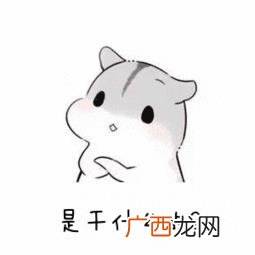 大学生就业创业证是什么 就业创业证是什么