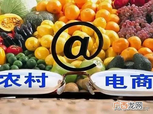 农村创业,技术型创业