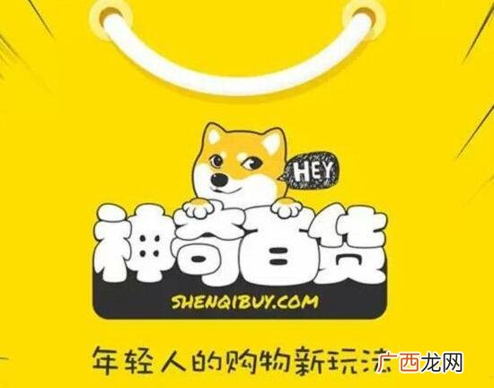 中国年轻人创业成功的案例 高中生创业例子