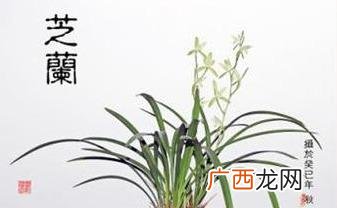 创业者具备哪些创业精神 创业者的敬业精神