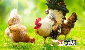 创业者具备哪些创业精神 创业者的敬业精神