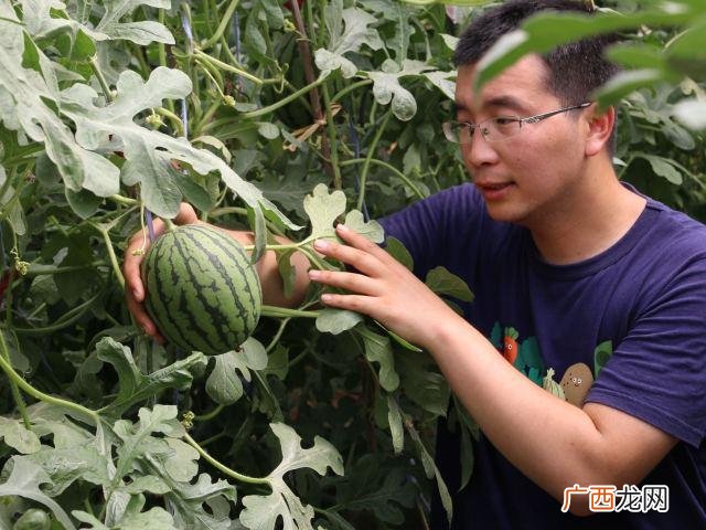 农村创业补贴申请模板,创业帮扶申请书怎么写