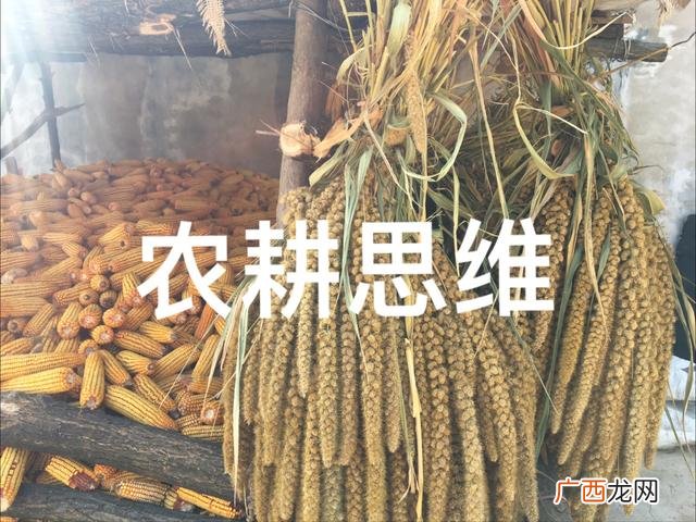 微信收米是怎么赚钱的,微信公司怎么赚钱