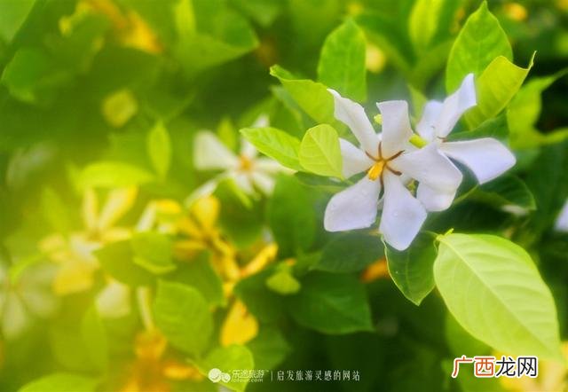 创业史第一章赏析,创业史好句摘抄赏析20句