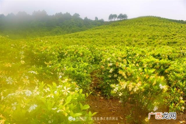创业史第一章赏析,创业史好句摘抄赏析20句