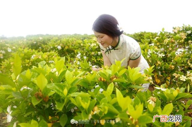 创业史第一章赏析,创业史好句摘抄赏析20句