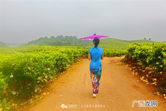 创业史第一章赏析,创业史好句摘抄赏析20句