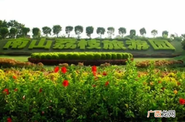 最近的荔枝果园在哪里,深圳南山果园