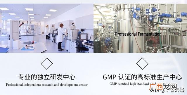 伟灵格益生菌P1一天喝几次,灵伟创业中国人