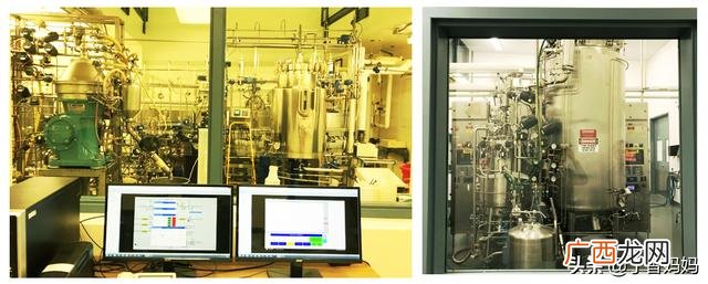伟灵格益生菌P1一天喝几次,灵伟创业中国人