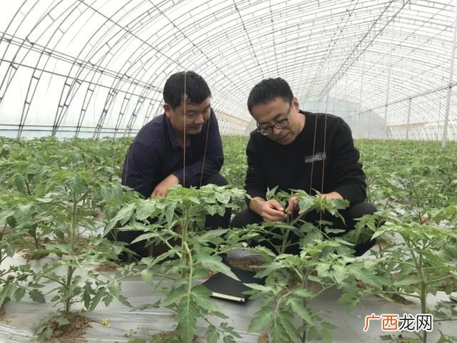 杨凌农科院简介 杨凌创业园区