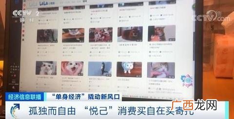 新相亲大会朱迪完整视频 创业时代朱迪