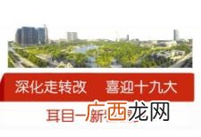 杭州华泰创业园附近租房 桐乡创业园